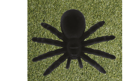 CZARNY PAJĄK HALLOWEEN