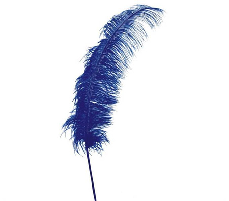 PIÓRO STRUSIA NIEBIESKIE 63 CM 1 SZT.