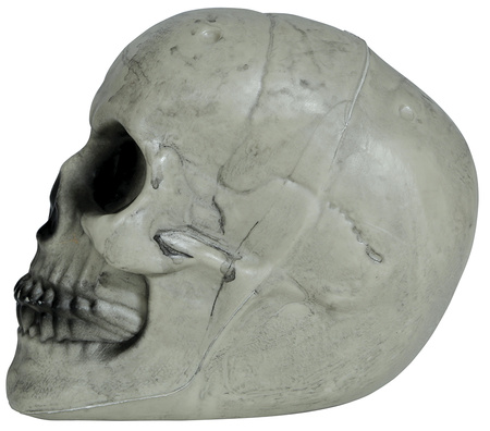 CZASZKA SZKIELETORA PLASTIKOWA 20 CM 