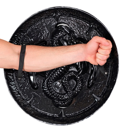 TARCZA WIKINGA SMOK 48 CM