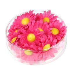 KWIATY OZDOBNE FUKSJA