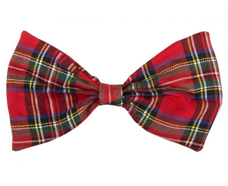 Zestaw Kujona kujonki uczeń uczennica (strój: okulary, muszka, szelki)