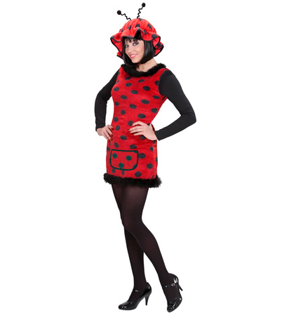 STRÓJ PANI BIEDRONKA SUKIENKA + CZAPKA