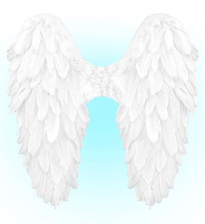 SKRZYDŁA ANIOŁA BIAŁE 50 X 50 CM 