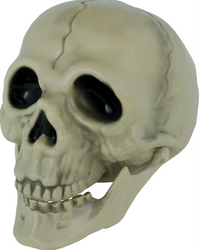 CZASZKA Z RUCHOMĄ SZCZĘKĄ 13 CM HALLOWEEN