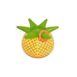 ANANAS DMUCHANY