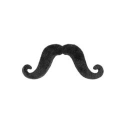 SZTUCZNE WĄSY ARTYSTA