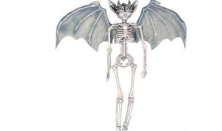 SZKIELET DEMONA ZE SKRZYDŁAMI 40 CM