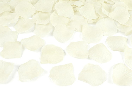 Tuba z płatkami róż, krem, 60cm (1 karton / 36 szt.)