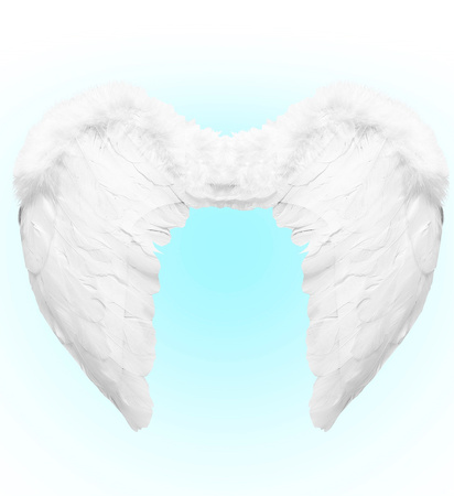 BIAŁE SKRZYDŁA Z PIÓR