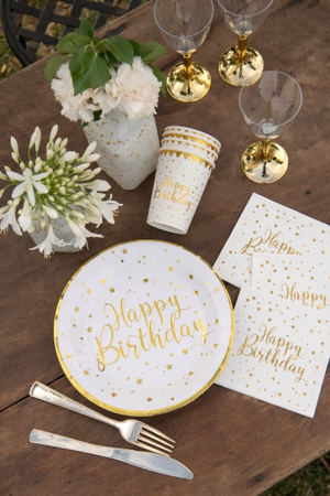 SERWETKI PAPIEROWE URODZINY GWIAZDKI BIAŁY 25CM 20SZT