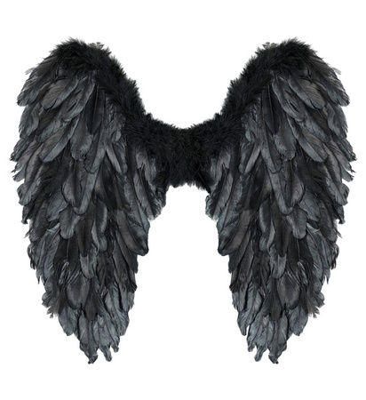 SKRZYDŁA CZARNE 50 X 50 CM HALLOWEEN