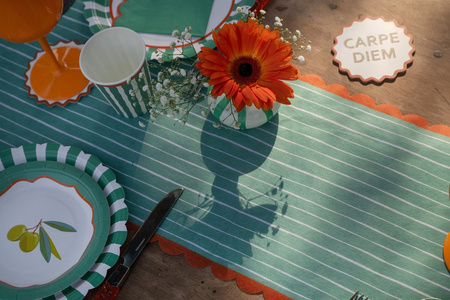 BIEŻNIK DOLCE VITA ZIELONY 28 X 250 CM 