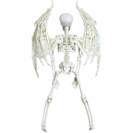 SZKIELET DEMON 46 CM HALLOWEEN