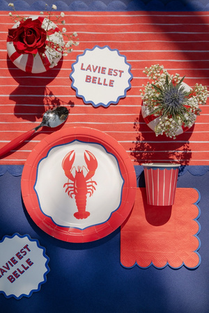 SERWETKI KOKTAJLOWE DOLCE VITA CZERWONE 25 CM 12 SZT 