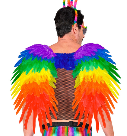 SKRZYDŁA TĘCZOWE Z PIÓR