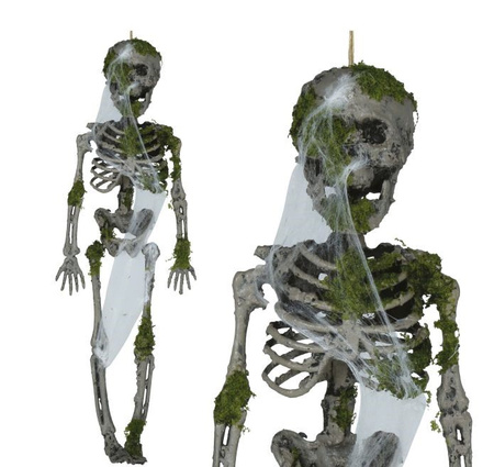 SZKIELET WISZĄCY Z MCHEM 40 CM 