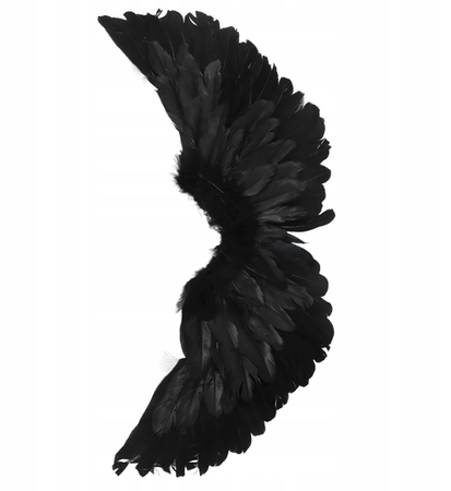 SKRZYDŁA CZARNE 60 X 25 CM