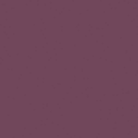 SERWETKI PAPIEROWE OBERŻYNA 33 X 33 CM