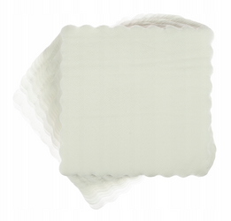 SERWETKI PAPIEROWE BIAŁE 15 X 15 CM 120 SZT