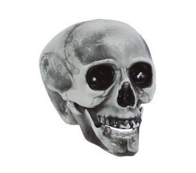 SKULL PVC 20 CMS