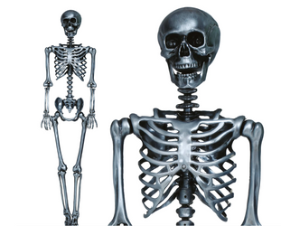 SZKIELET KOŚCIOTRUP 160 CM SREBRNY