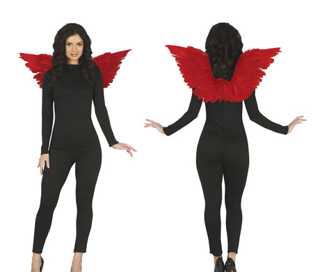 SKRZYDŁA CZERWONE 52x30 CM