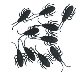 SZTUCZNE CHRZĄSZCZE 7 CM 10 SZT