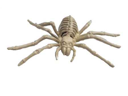 SZKIELET PAJĄKA 24cm