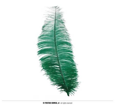  Zielone Pióro dlugosc 30 cm