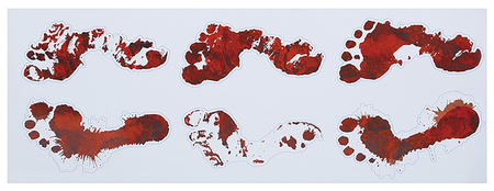 DEKORACJA ZAKRWAWIONE STOPY 