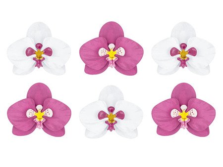 Dekoracje papierowe Aloha - Orchidee (1 karton / 50 op.)
