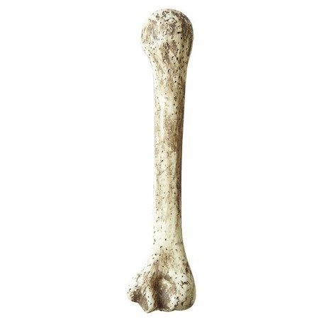 Kość Jaskiniowca, Akcesoria, Dodatki